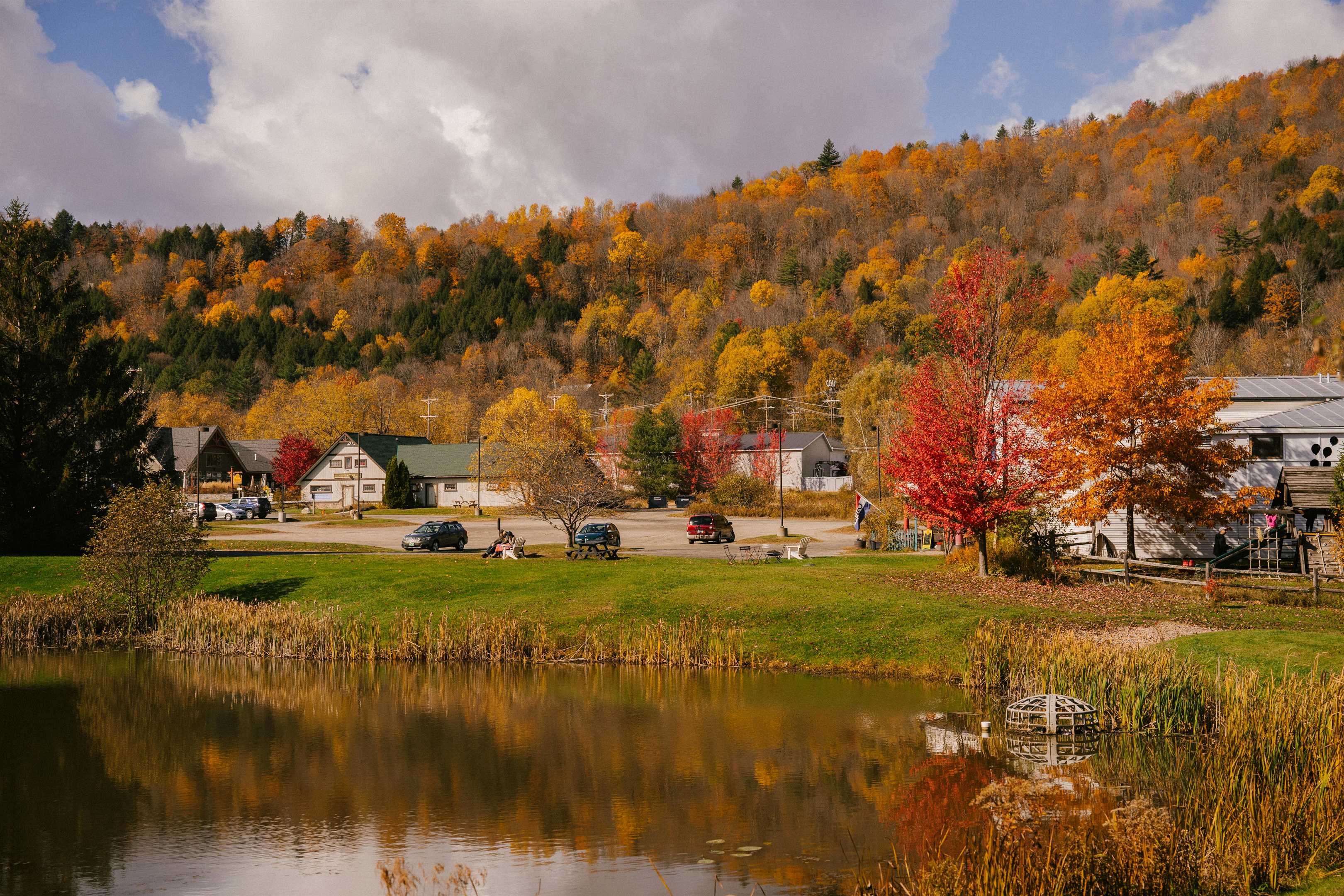 Is Fall the New Spring? A Seasonal Guide for Homeowners.