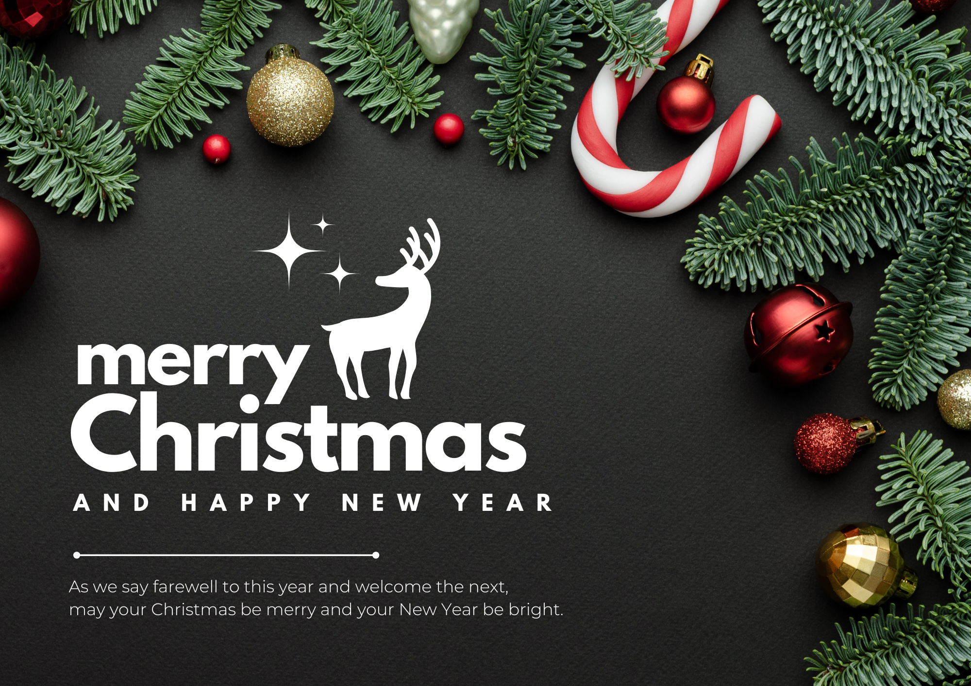 Home for the Holidays: A Message from Team OLIVIERI